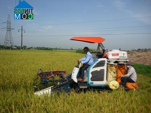 Hình ảnh Hưng Hà, Hưng Yên