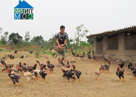 Hình ảnh Tiên Hoa, Hưng Yên