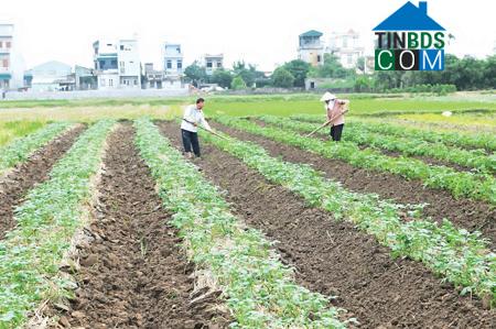 Hình ảnh Trần Lãm, Hưng Yên