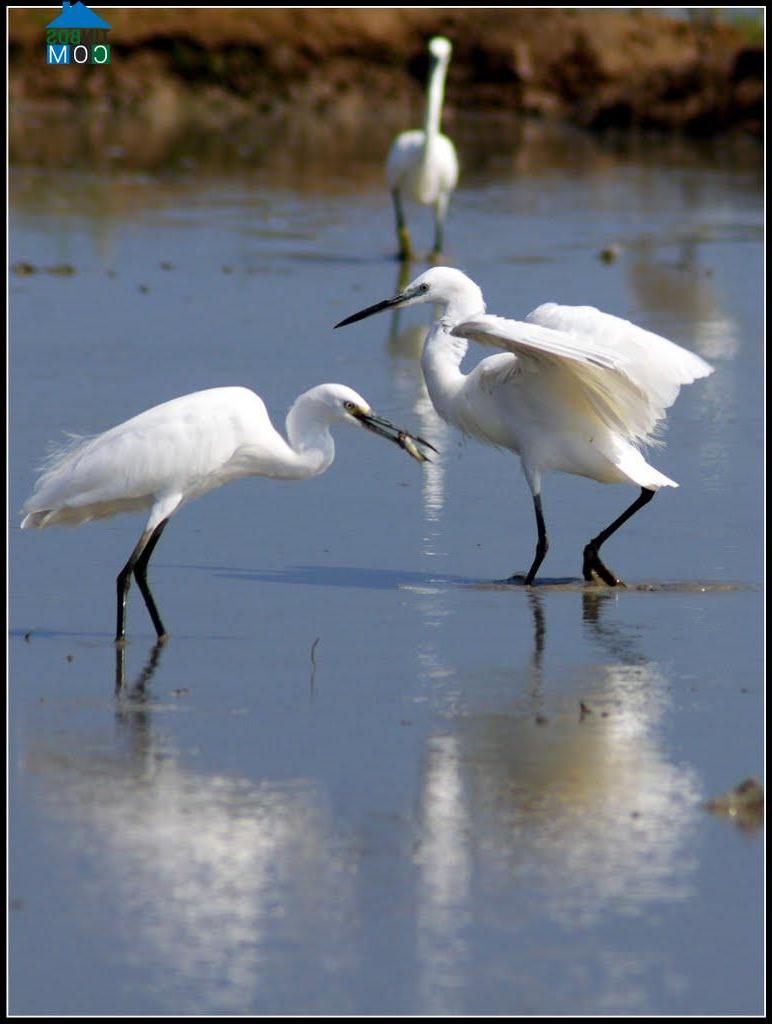 Hình ảnh Diên Điền, Khánh Hòa