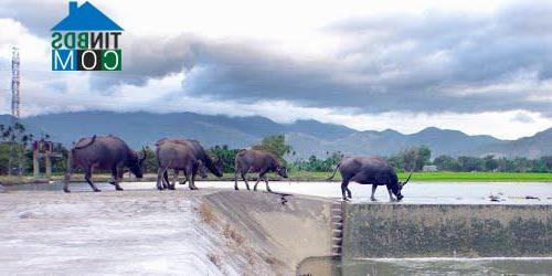 Hình ảnh Diên Khánh, Khánh Hòa