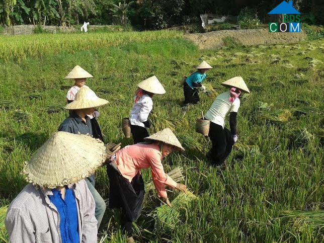 Hình ảnh Mường Kim, Lai Châu