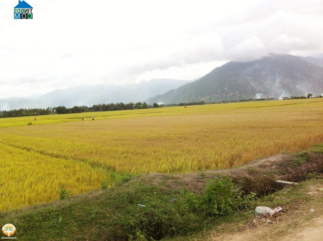 Hình ảnh Vạn Ninh, Khánh Hòa