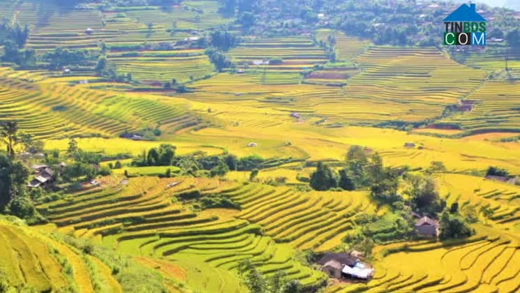 Hình ảnh Tả Lèng, Lai Châu