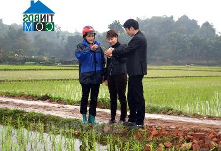 Hình ảnh Âu Lâu, Lào Cai