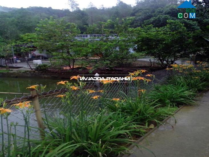 Hình ảnh Cam Đường, Lào Cai