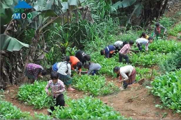 Hình ảnh Hạnh Phúc, Lào Cai