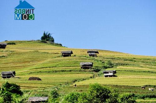 Hình ảnh Mù Cang Chải, Lào Cai