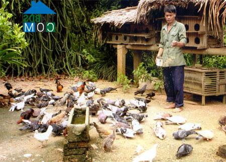 Hình ảnh Nam Cường, Lào Cai