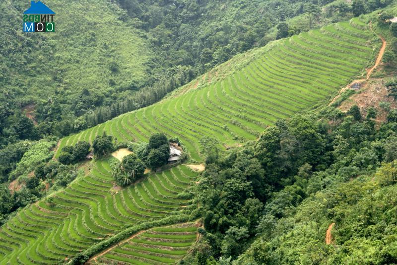 Hình ảnh Văn Chấn, Lào Cai