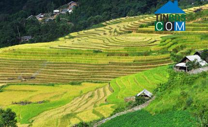 Hình ảnh Y Tý, Lào Cai