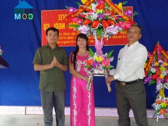 Hình ảnh Yên Thành, Lào Cai