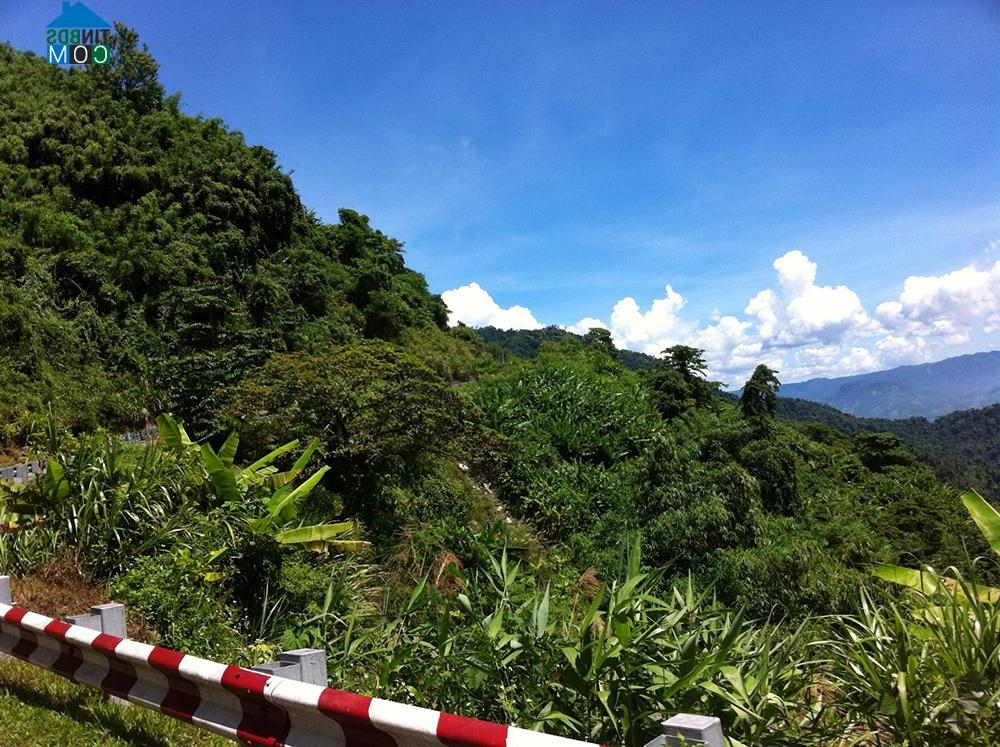 Hình ảnh Măng Ri, Quảng Ngãi