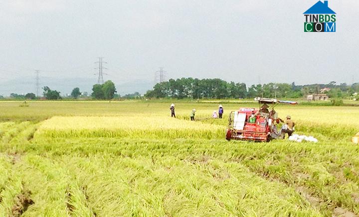 Hình ảnh Đông Triều, Quảng Ninh