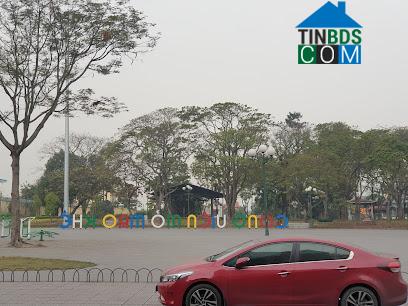 Hình ảnh Mạo Khê, Quảng Ninh