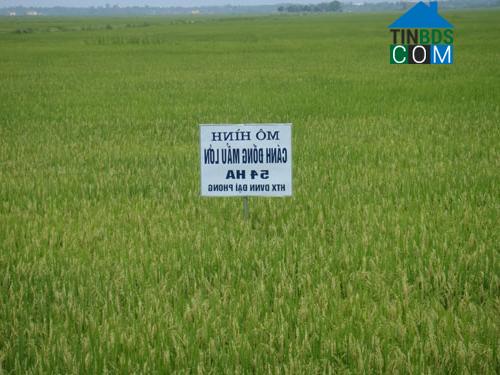 Hình ảnh Lệ Thủy, Quảng Trị