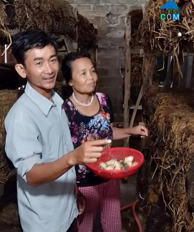 Hình ảnh Nam Ba Đồn, Quảng Trị