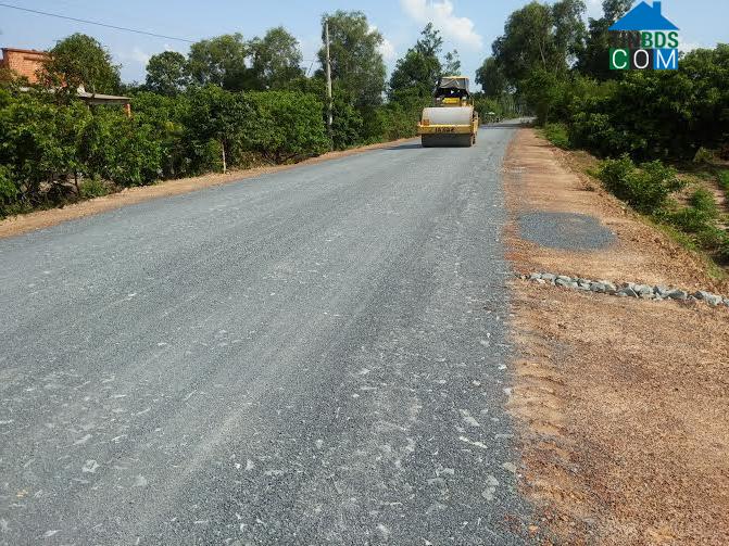 Hình ảnh Long Hoa, Tây Ninh