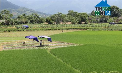 Hình ảnh La Bằng, Thái Nguyên