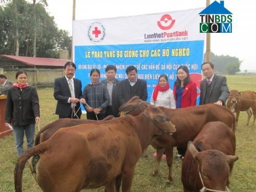 Hình ảnh Nông Cống, Thanh Hóa