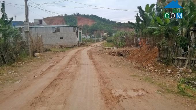 Hình ảnh Hà Trung, Thanh Hóa