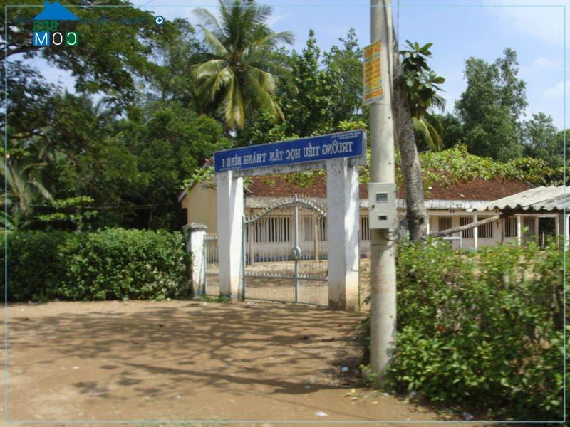 Hình ảnh Tân Thành Bình, Vĩnh Long