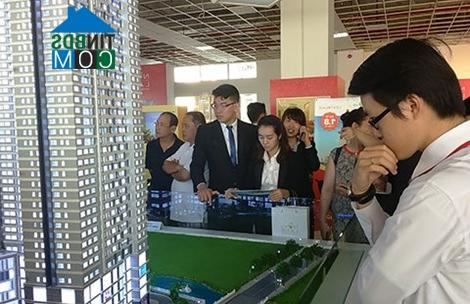 Ảnh Có nên mua nhà vào thời điểm này?