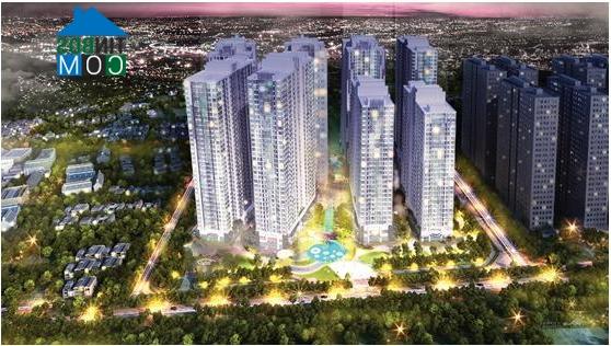 Hình ảnh tổng thể Park Hill 