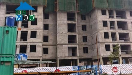Ảnh Chấp nhận không có lãi, Hà Nội xây được NOXH giá 5 triệu đồng/m2