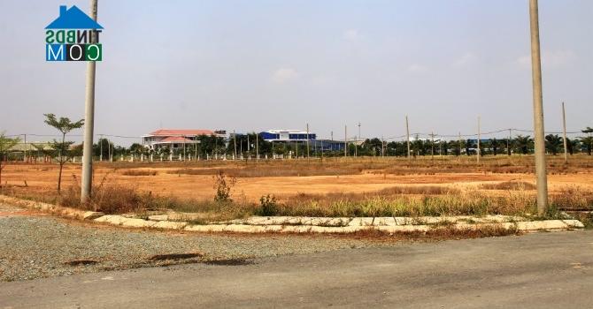 Ảnh Giá đất nền khu vực ven Tp.HCM đang “nhảy múa”
