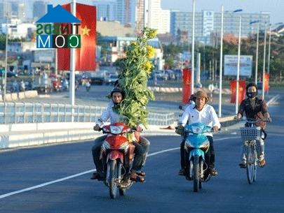 Ảnh Tp.HCM: Lập khu tái định cư quy mô hơn 2.000 căn hộ