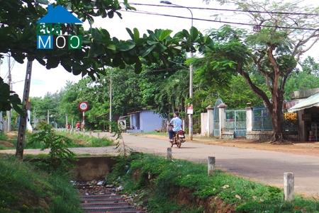 Ảnh Xây sân bay Long Thành tốn thêm 220 triệu USD để thu hồi đất một lần