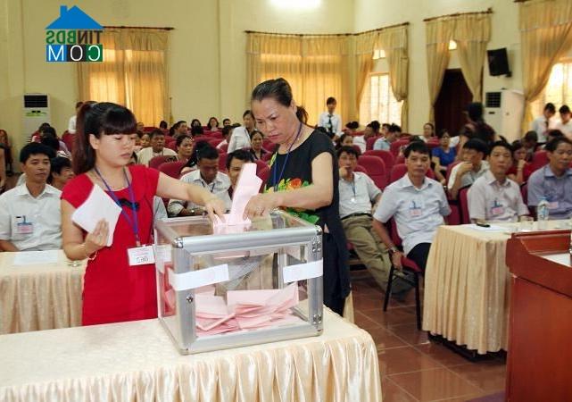 Ảnh Nhà đầu tư tấp nập trở lại "sân chơi" đấu giá đất