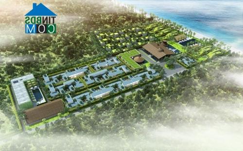 Ảnh Nhà đầu tư BĐS không còn “bán lúa non”