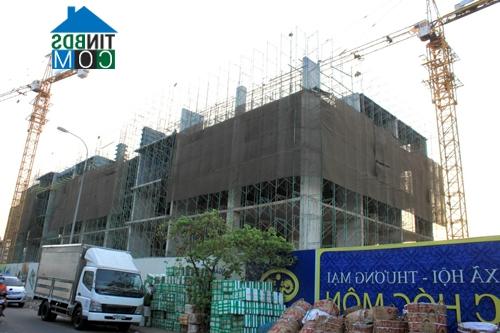 Ảnh "Tp.HCM triển khai mô hình căn hộ giá 100 triệu đồng chắc chắn sẽ thành công!"