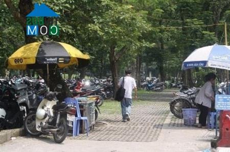 Công viên Thống Nhất được "xẻ" để làm bãi đậu xe đang khiến dư luận bất bình