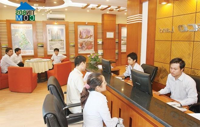 Ảnh Cần khẩn trương xây dựng các Nghị định hướng dẫn hai Luật mới