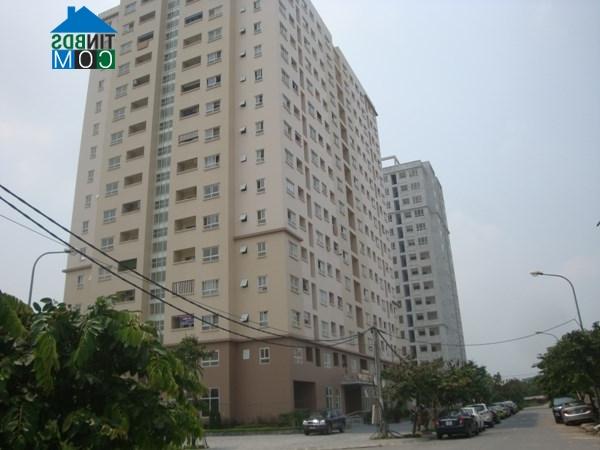Ảnh Người mua nhà giá thấp đang được hỗ trợ nhiều
