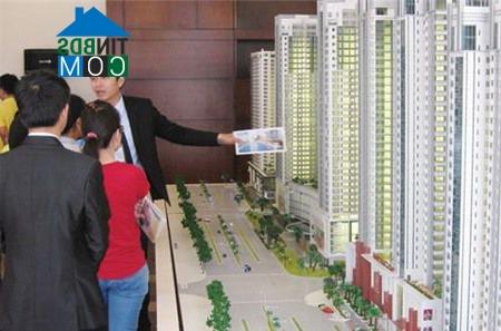 Ảnh Thị trường chưa hết khó khăn đã tái diễn hiện tượng giá chênh