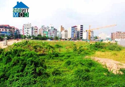 Ảnh HoREA kiến nghị áp thuế sử dụng đất để làm minh bạch thị trường