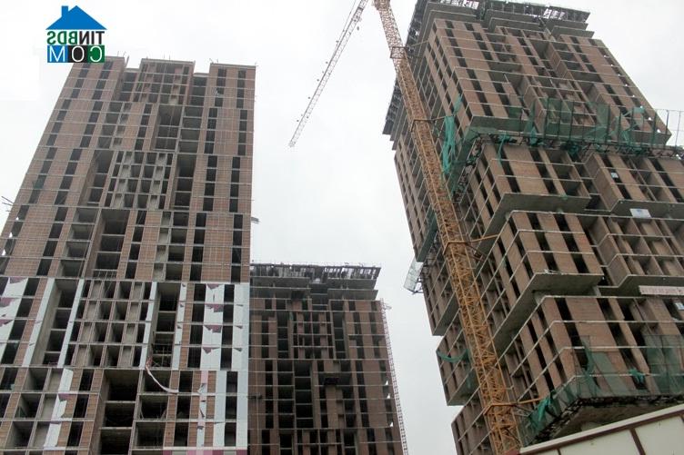 Dự án căn hô chung cư đang thi công