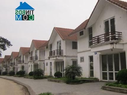 Phân khúc BĐS “hạng sang” đang giảm giá mạnh. Ảnh: TL