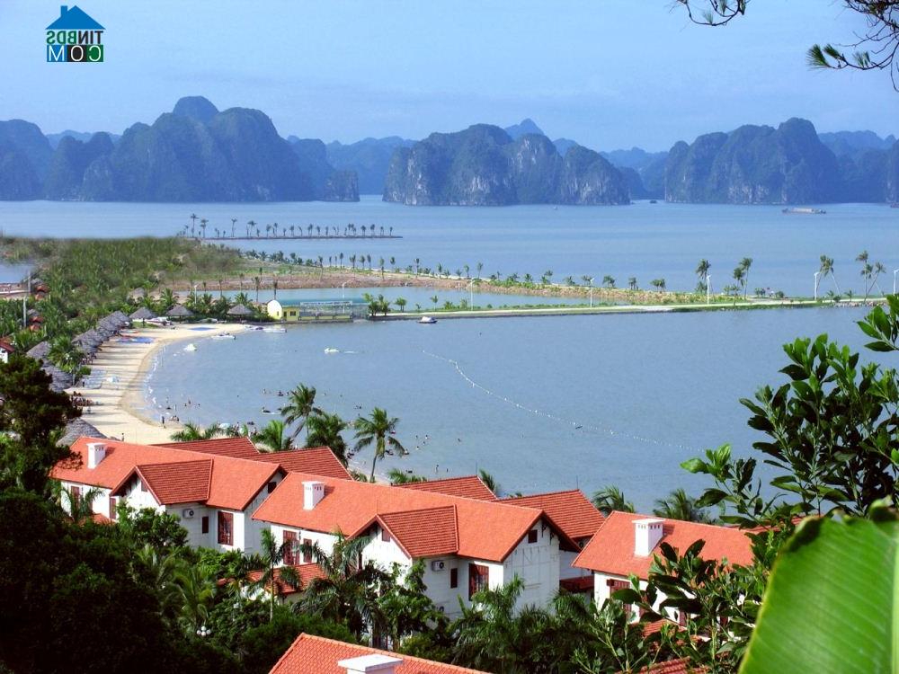 Ảnh Phú Quốc, Hạ Long - "rốn tiền" của các đại gia địa ốc