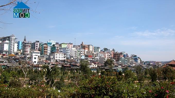Ảnh Hãy giữ lại những nét đặc trưng cho Đà Lạt