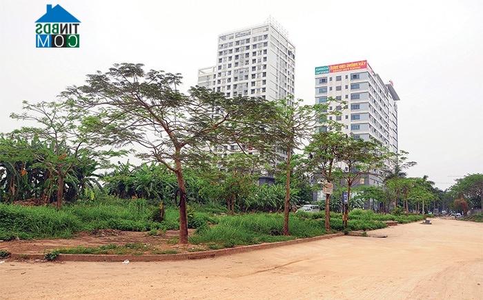 Ảnh Xót xa cảnh hoang hóa của những mảnh đất vàng ven Hồ Tây