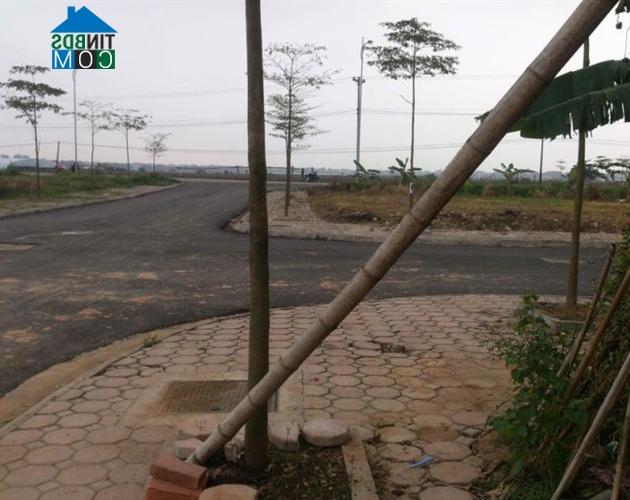 Ảnh BĐS Mê Linh "ngủ quên" quá lâu