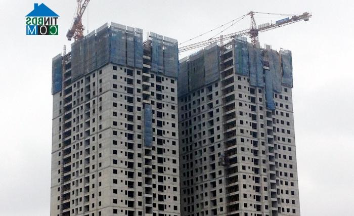 Ảnh Môi giới chèo kéo khách mua nhà kiếm 15 triệu/giờ