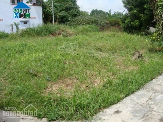 Ảnh Hà Nội: Đất thổ cư dưới 1 tỷ đồng hút khách, giá tăng nhẹ
