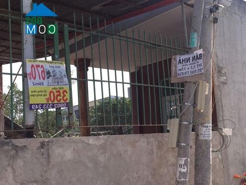 Các loại biển rao bán nhà giá rẻ được dán khắp nơi tại Tp.HCM - Ảnh: Đình Sơn