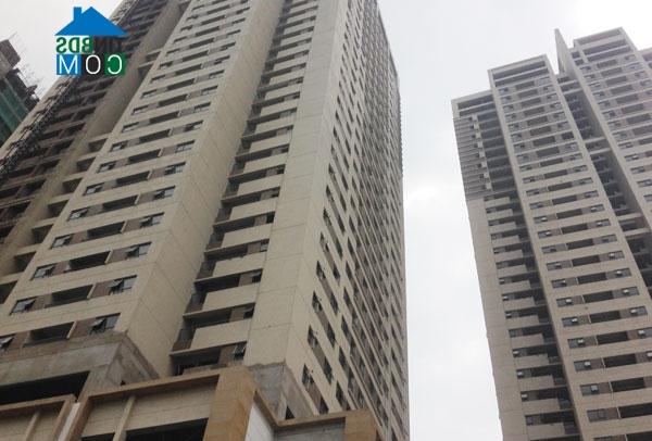 Ảnh Thu nhỏ quy mô, doanh nghiệp địa ốc dễ bị thao túng?